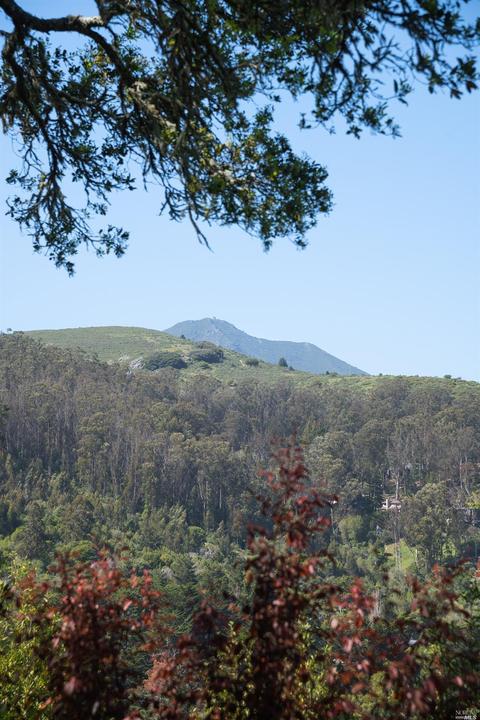 712 Cabin Dr, Mill Valley, CA 94941 photo 40