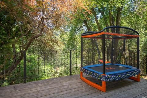 712 Cabin Dr, Mill Valley, CA 94941 photo 37