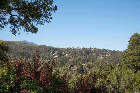712 Cabin Dr, Mill Valley, CA 94941 photo 39