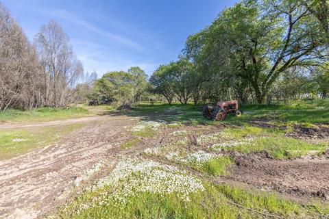 1112 Windsor River Rd, Windsor, CA 95492 photo 20