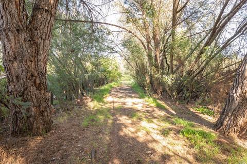 1112 Windsor River Rd, Windsor, CA 95492 photo 19
