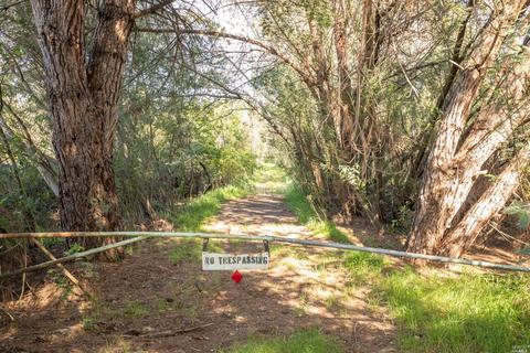 1112 Windsor River Rd, Windsor, CA 95492 photo 18