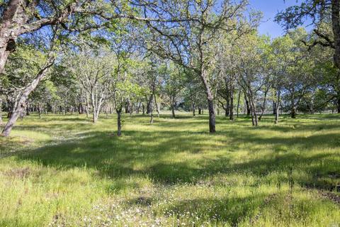 1112 Windsor River Rd, Windsor, CA 95492 photo 1