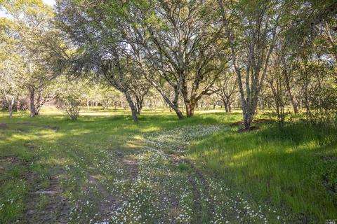 1112 Windsor River Rd, Windsor, CA 95492 photo 22