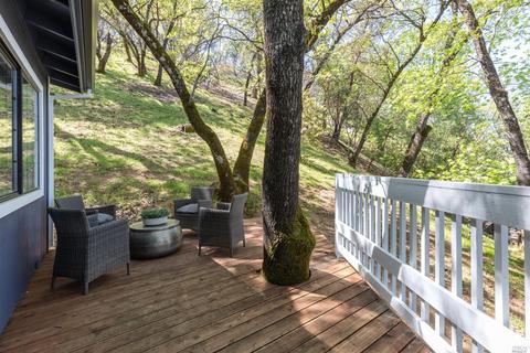 19 Juniper Dr, Napa, CA 94558 photo 28