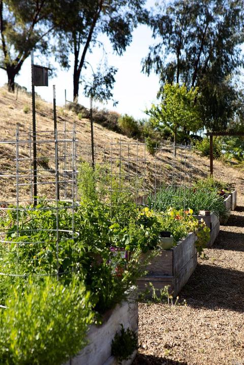 4080 Lovall Valley Loop, Sonoma, CA 95476 photo 48