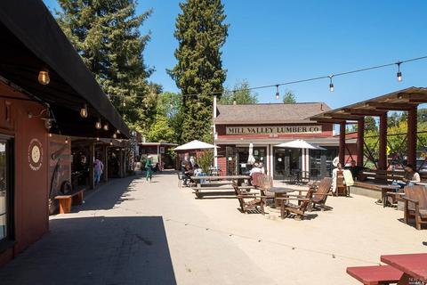 735 Miller Ave, Mill Valley, CA 94941 photo 33