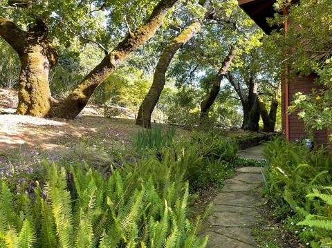581 Michael Dr, Sonoma, CA 95476 photo 36
