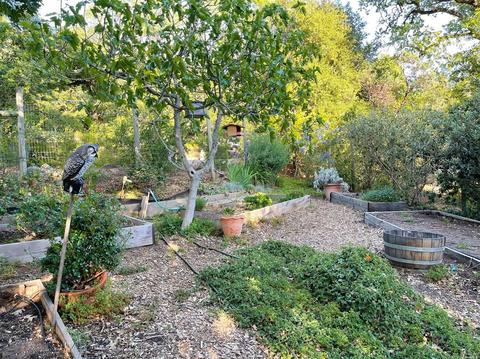 581 Michael Dr, Sonoma, CA 95476 photo 37