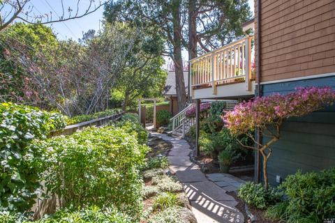 5 Helens Ln, Mill Valley, CA 94941 photo 46