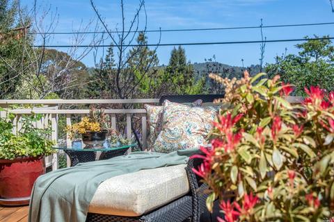 5 Helens Ln, Mill Valley, CA 94941 photo 49
