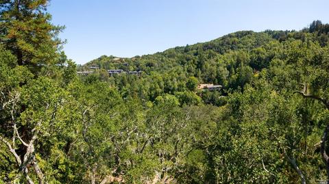 91 Black Log Rd, Kentfield, CA 94904 photo 28
