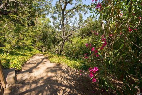 91 Black Log Rd, Kentfield, CA 94904 photo 25