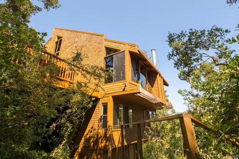 91 Black Log Rd, Kentfield, CA 94904 photo 29