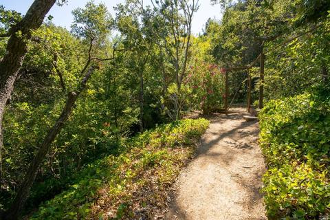 91 Black Log Rd, Kentfield, CA 94904 photo 26