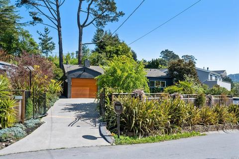 105 Loring Ave, Mill Valley, CA 94941 photo 14