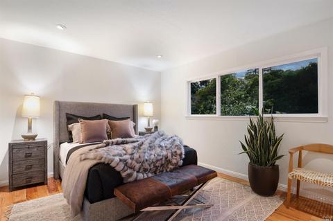 105 Loring Ave, Mill Valley, CA 94941 photo 46