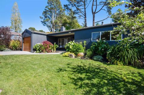105 Loring Ave, Mill Valley, CA 94941 photo 19