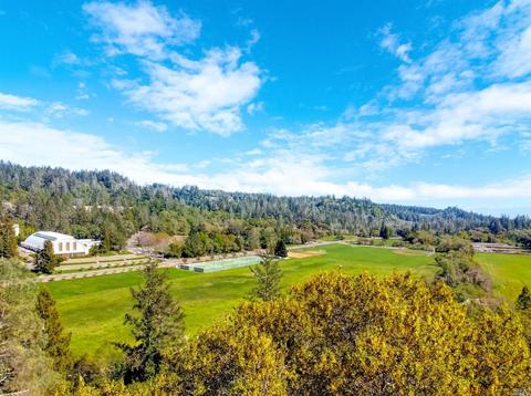 235 Brookside Dr, Angwin, CA 94508 photo 20