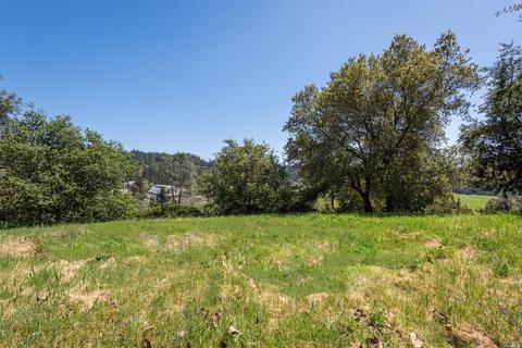 235 Brookside Dr, Angwin, CA 94508 photo 43