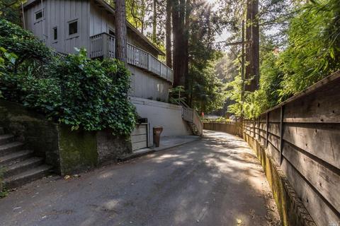 32 Millside Ln, Mill Valley, CA 94941 photo 28