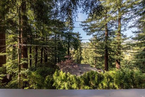 32 Millside Ln, Mill Valley, CA 94941 photo 26