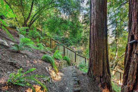 Undisclosed, Mill Valley, CA 94941 photo 48