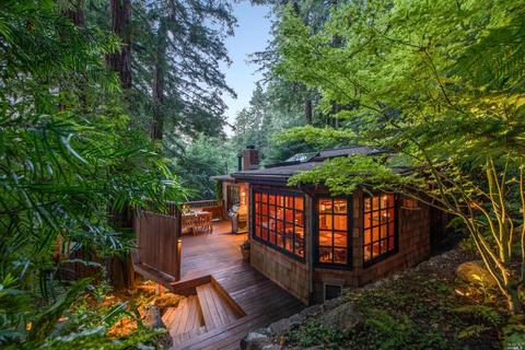 Undisclosed, Mill Valley, CA 94941 photo 39