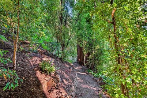 Undisclosed, Mill Valley, CA 94941 photo 49