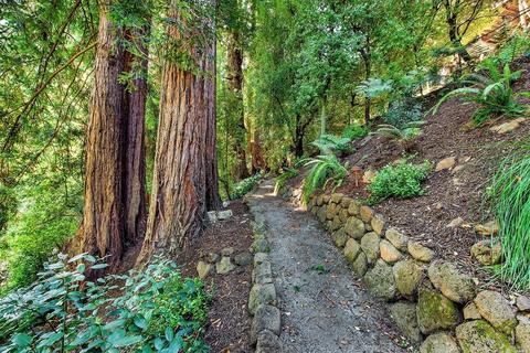 Undisclosed, Mill Valley, CA 94941 photo 47