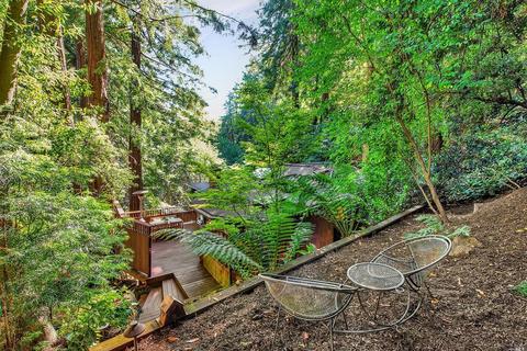 Undisclosed, Mill Valley, CA 94941 photo 46