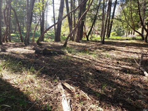 26613 Hawk Rd, Willits, CA 95490 photo 1