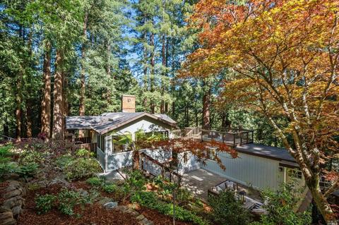 28 Hazel Ave, Mill Valley, CA 94941 photo 1