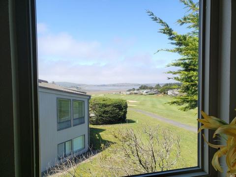 111 Surfbird Ct, Bodega Bay, CA 94923 photo 19