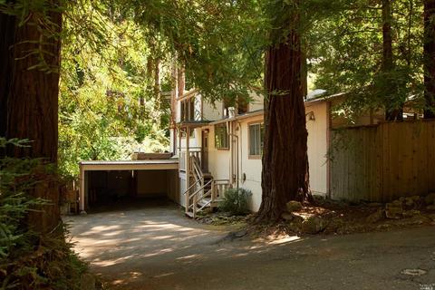 41 Ethel Ave, Mill Valley, CA 94941 photo 2