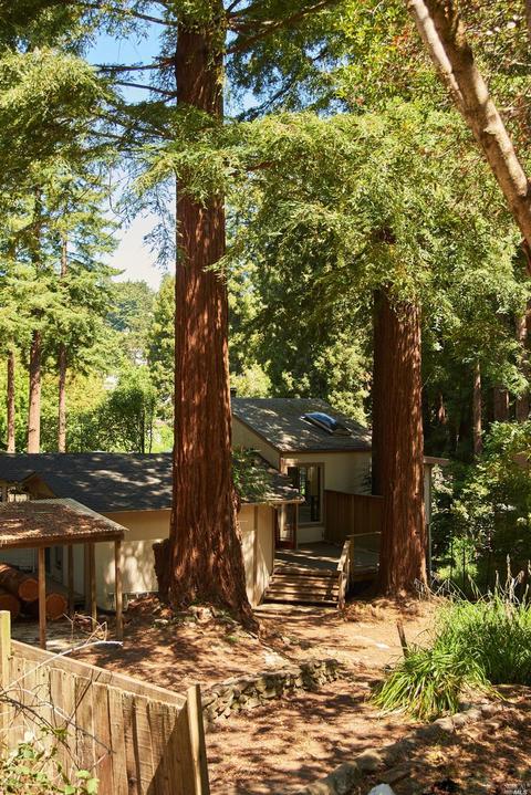 41 Ethel Ave, Mill Valley, CA 94941 photo 4