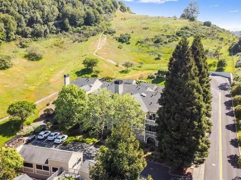 233 Koch Rd, Corte Madera, CA 94925 photo 34