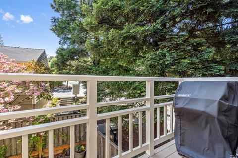 233 Koch Rd, Corte Madera, CA 94925 photo 17
