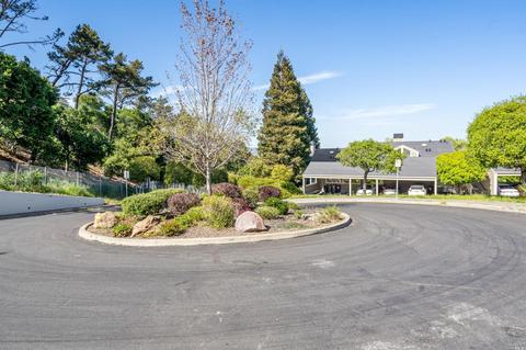 233 Koch Rd, Corte Madera, CA 94925 photo 33