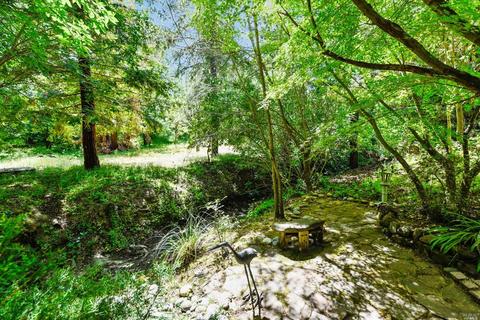 3121 Withers Ave, Lafayette, CA 94549 photo 38