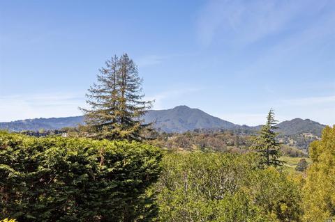 122 Neider Ln, Mill Valley, CA 94941 photo 53