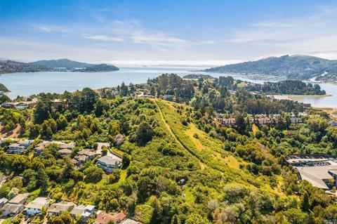122 Neider Ln, Mill Valley, CA 94941 photo 57