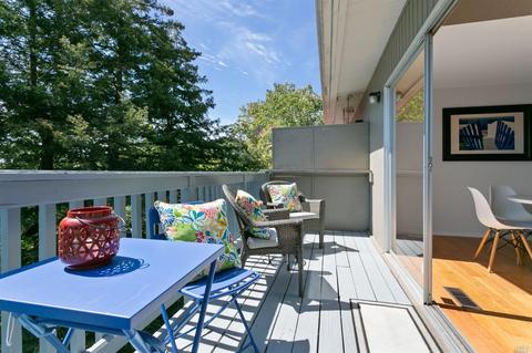 183 Ridgeway Ave, Fairfax, CA 94930 photo 18