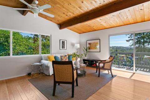 183 Ridgeway Ave, Fairfax, CA 94930 photo 7