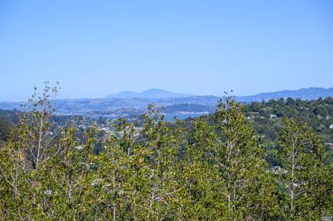 53 Summit Rd, San Anselmo, CA 94960 photo 48