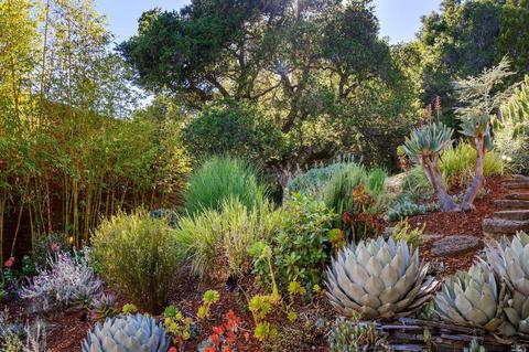 53 Summit Rd, San Anselmo, CA 94960 photo 64