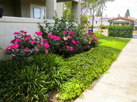 1505 Kirker Pass Rd #261, Concord, CA 94521 photo 15