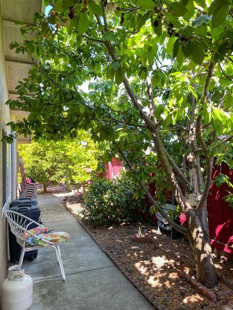 1106 Elliott Dr, Vallejo, CA 94589 photo 18