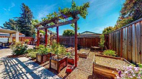 308 Sutter St, Petaluma, CA 94954 photo 20
