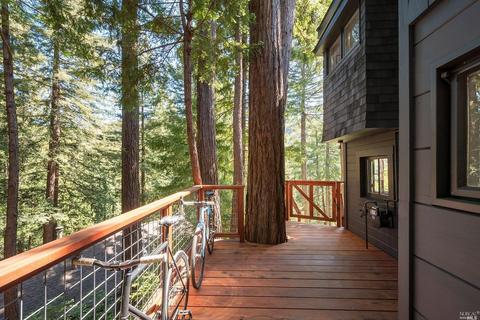 62 Magee Ave, Mill Valley, CA 94941 photo 27
